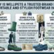 Wellipets comfortable and stylish footwear for everyday wear, featuring modern shoe designs for comfort and fashion.